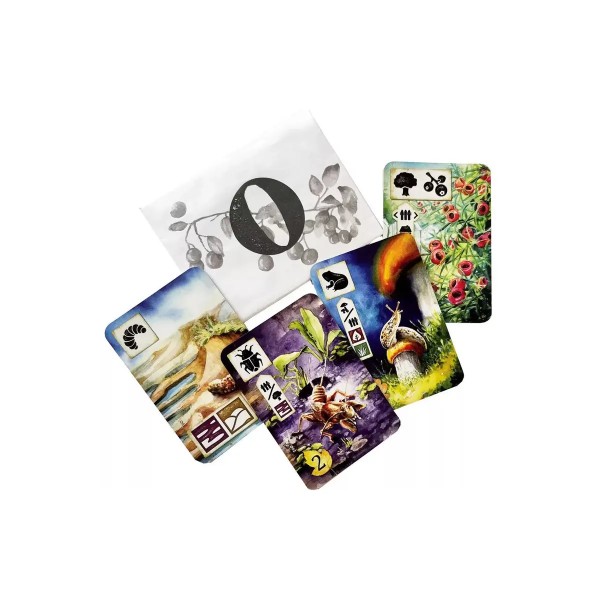 Meadow: Promo Envelope O - EN
